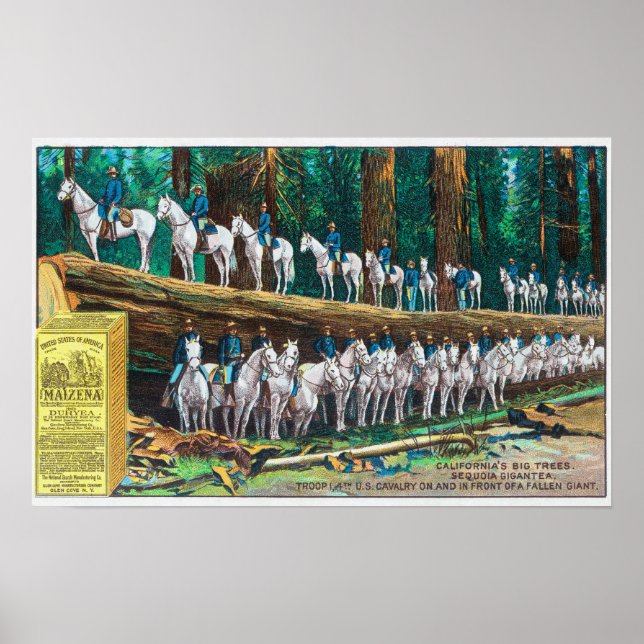 Póster Tropa I na frente do gigante Fallen (Frente)