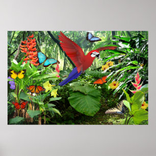 Poster tropical da floresta húmida