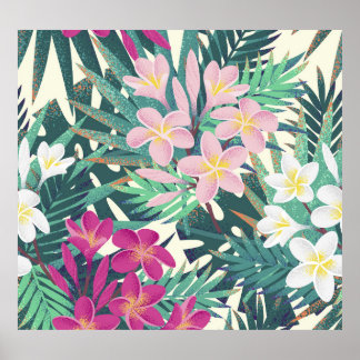 Poster Tropical de Frangipani: Vintage branco-rosa.