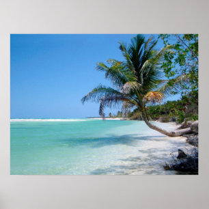 poster tropical do céu da praia de 8,60