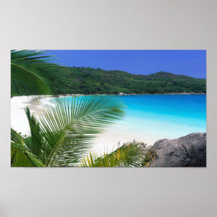 Poster tropical do paraíso do tempo da ilha