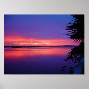 Poster tropical do por do sol da palmeira do rio
