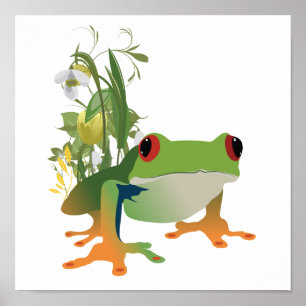 Poster tropical frog vector design