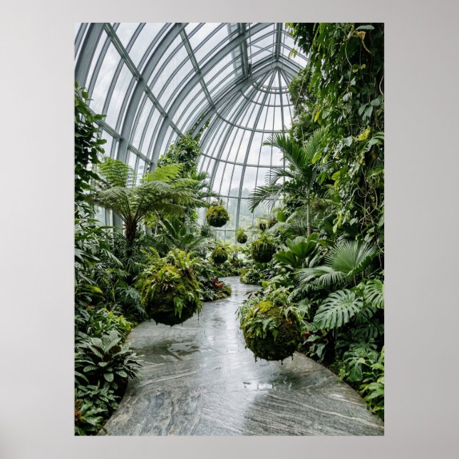 Poster Tropical Greenhouse Jungle Path (Frente)