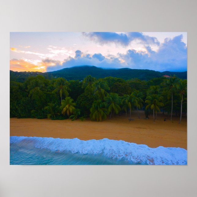 Poster Tropical Guadeloupe Ocean Island Palm Beach Sunset (Frente)