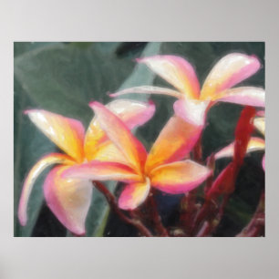 Poster tropical havaiano do Plumeria
