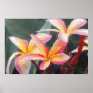 Poster tropical havaiano do Plumeria