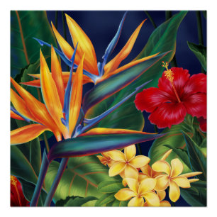 Póster Tropical Paraísa Havaiana Floral