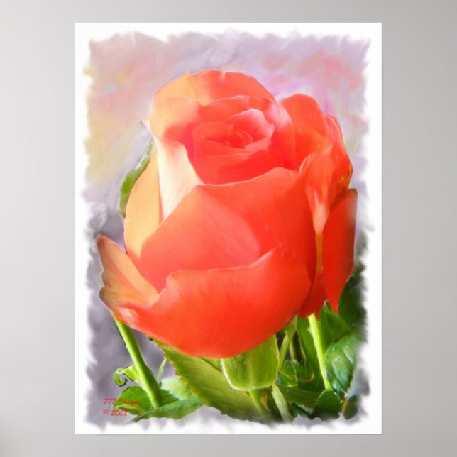 Póster Tropicana Rosa - Pintura (Frente)