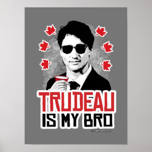 Poster Trudeau é meu Bro
