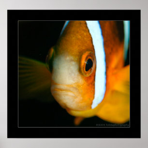 Poster Truk Yamagiri Maru 009bcr