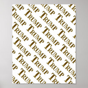 POSTER TRUMP