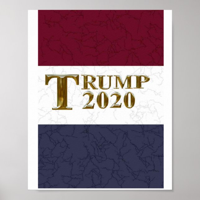 POSTER TRUMP 2020 (Frente)