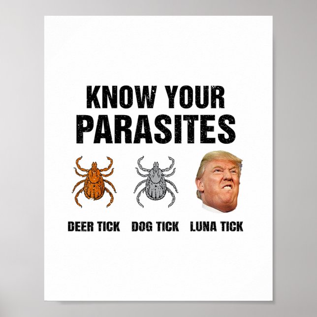 Poster Trump Conheça Seus Parasitas Carrapato de Cervo Ca (Frente)