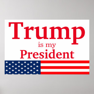 Poster Trump é meu presidente branco com bandeira america