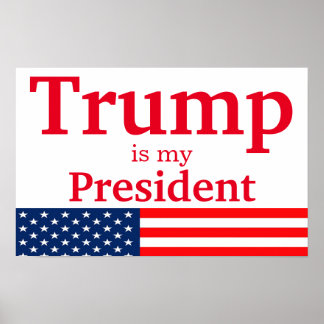 Poster Trump é meu presidente branco com bandeira america
