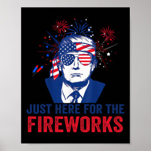 Poster Trump Está Aqui Só Para Os Fogos de Artifício Funn