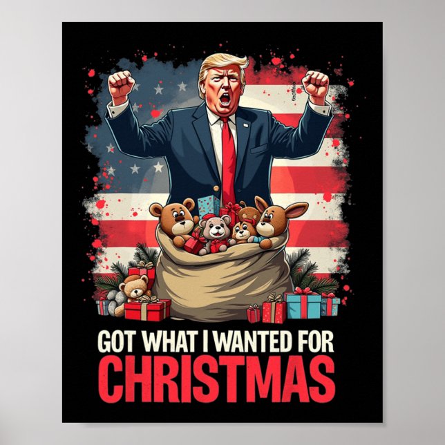 Poster Trump Ganhou Presidente 2024 - Consegui O Que Quer (Frente)