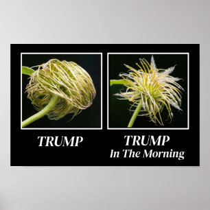 Poster Trump Hair