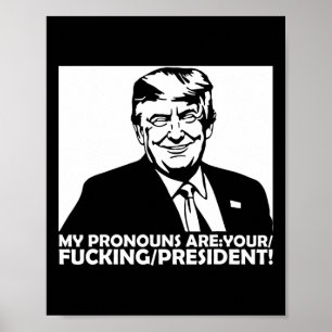 Poster Trump Meus Pronomes São Seu Presidente Ing 