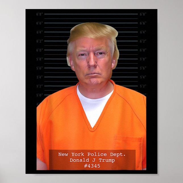Poster Trump Mug Shot Range Jumpcase Parody Atrás dos Bar (Frente)