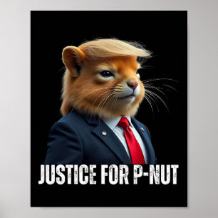 Poster Trump Para Porca-Porca Justiça De Esquilo Para Pea