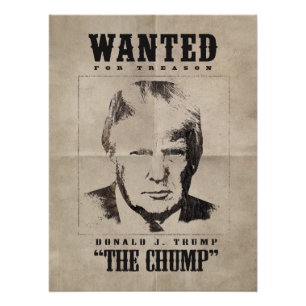 Póster Trump queria Poster - Trump trump
