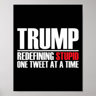 Poster Trump - Redefinindo Estúpido Uma Mensagem Por Vez