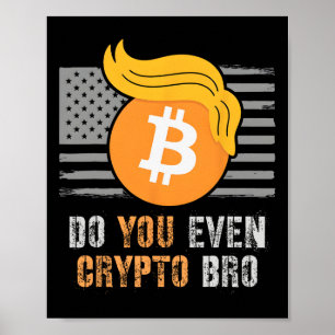 Poster Trump Sarcasiano Você Até Cripto Bro Levante Bull