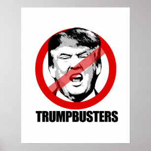Póster Trumpbusters -