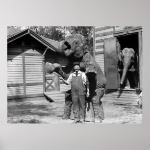 Póster Truque esperto do elefante, 1910s