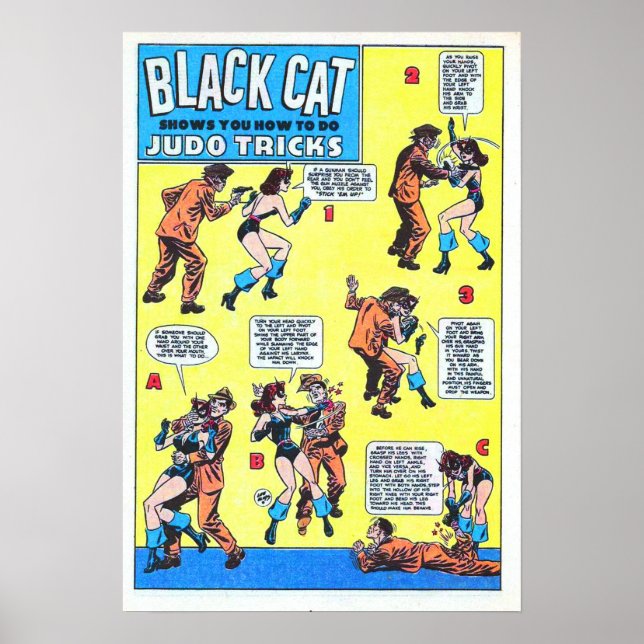 Poster Truques de Judo de Gato Negro (Frente)