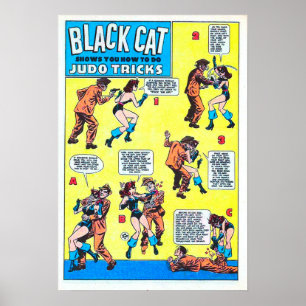 Poster Truques de Judô Gato Preto