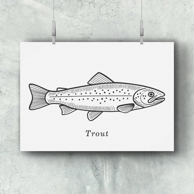 Poster Truta (Trout Wall Art)