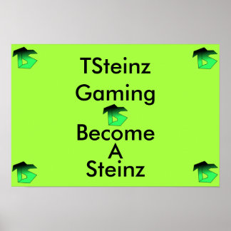 POSTER TSteinz