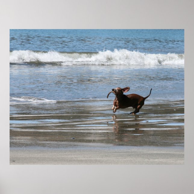 Póster Tsunami Harry (Frente)