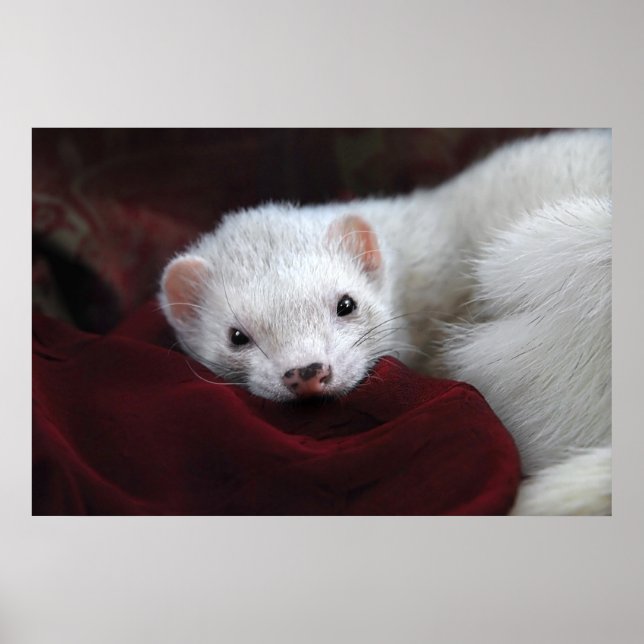 Poster Tu chantais é bien. (Frente)