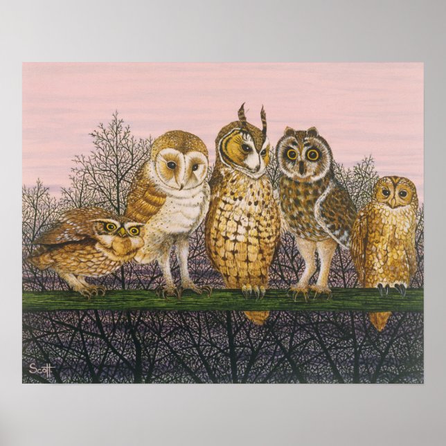 Póster Tu-whit (Frente)