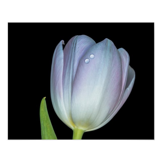 Póster Tu y yo. (Frente)