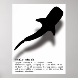 Poster Tubarão de Baleia Silhueta com Praia de Definição