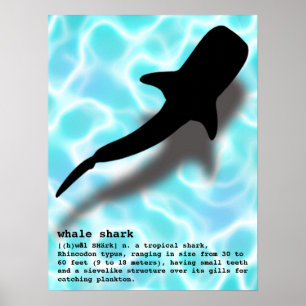 Poster Tubarão de Baleia Silhueta com Praia de Definição