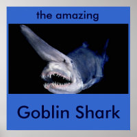 Tubarão-Goblin