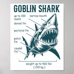 Poster Tubarão Goblin Anatomia Biólogo Marinho Tubarão