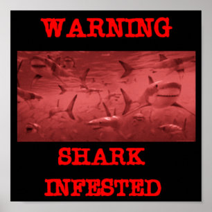 POSTER TUBARÃO INFESTADO