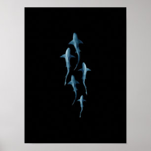 Poster Tubarão - Tubarões Nadadores - Presente Engraça