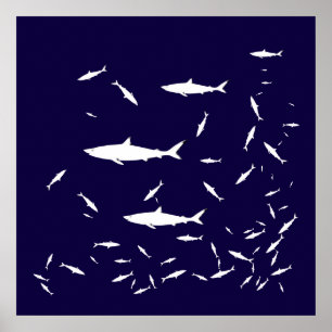 Póster tubarões-do-mar azul