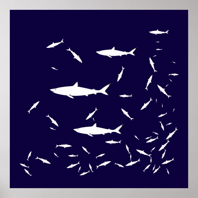 Póster tubarões-do-mar azul (Frente)