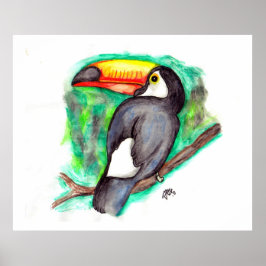 Poster Tucano