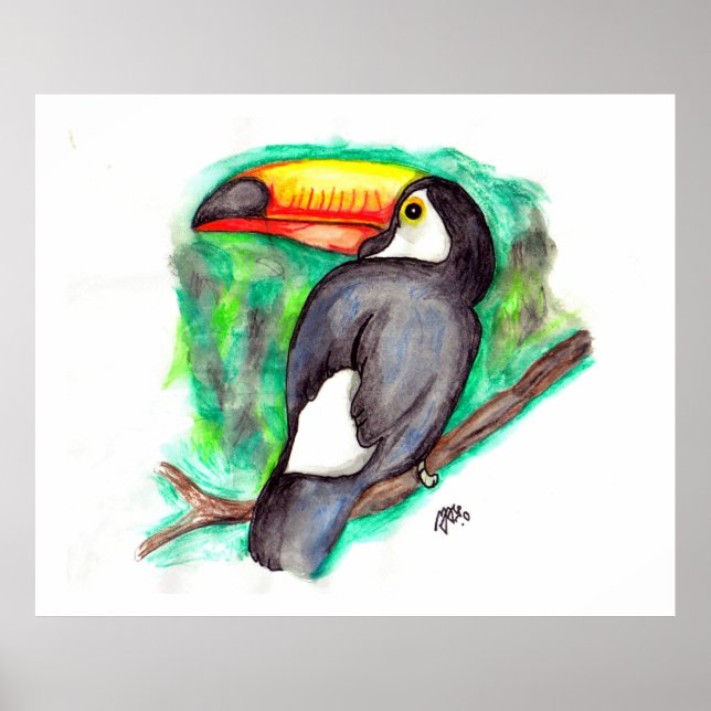 Poster Tucano (Frente)