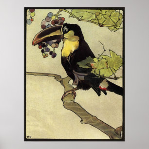 Póster Tucano vitoriano